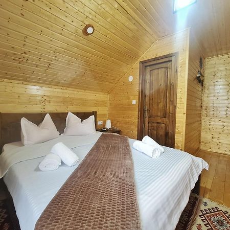 Cabana Dintre Munti Vidra  ภายนอก รูปภาพ