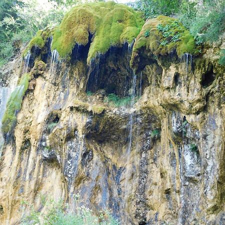 Cabana Dintre Munti Vidra  ภายนอก รูปภาพ