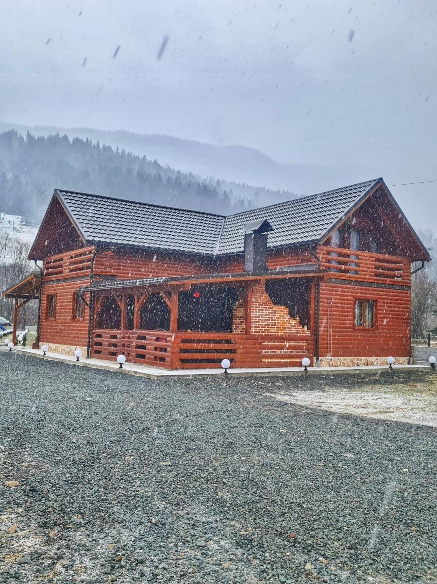 Cabana Dintre Munti Vidra  ภายนอก รูปภาพ
